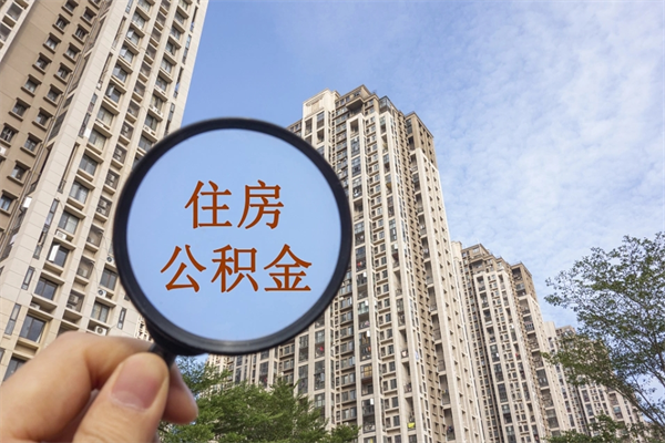 博兴离职多久可以取住房公积金(离职多久后能取公积金) 博兴离职多久可以取住房公积金(离职多久后能取公积金)